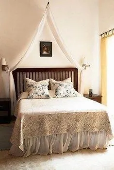 Magic Paradise By Bvr Mexico
